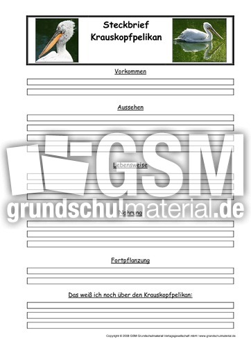 Krauskopfpelikan-Steckbriefvorlage.pdf